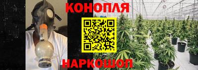 PSILOCYBIN Абакан
